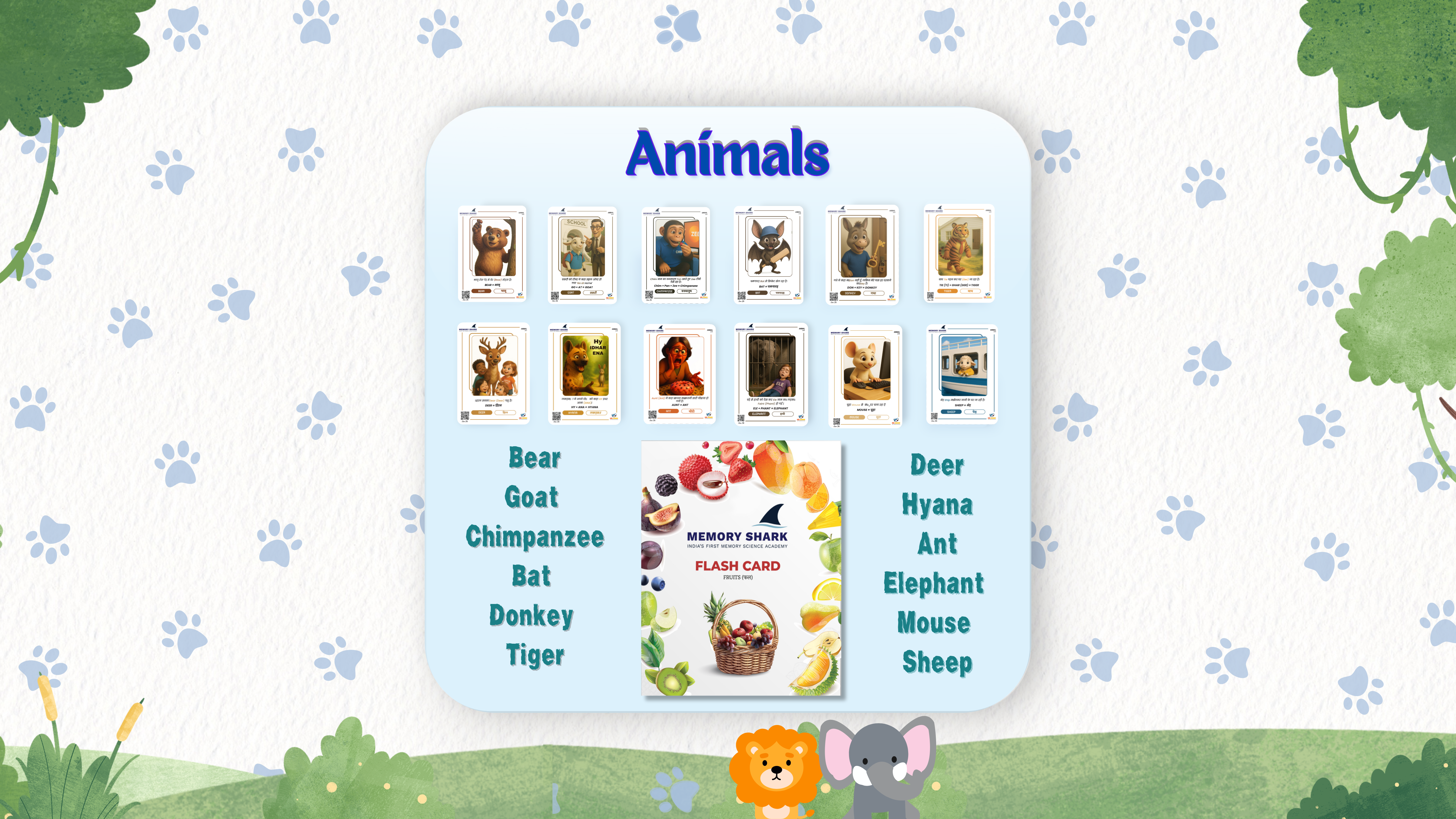 Animals Flash Card 