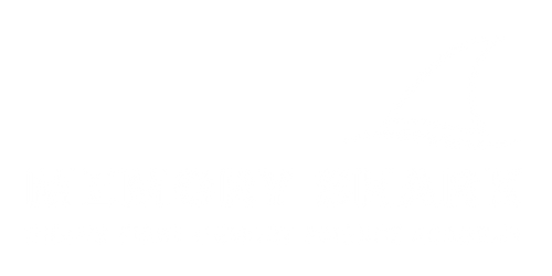 Memory Shark