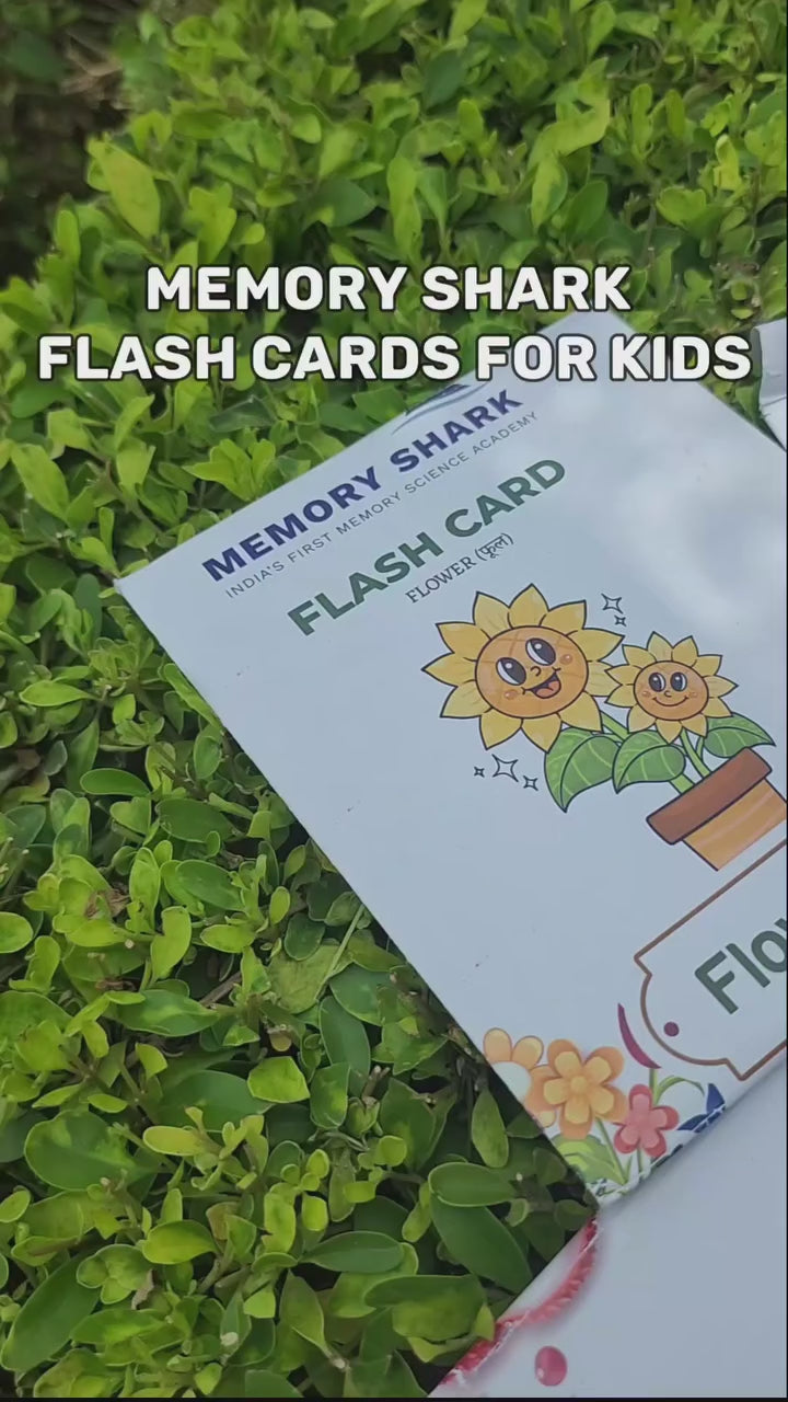 Montessori Talking Flash Cards